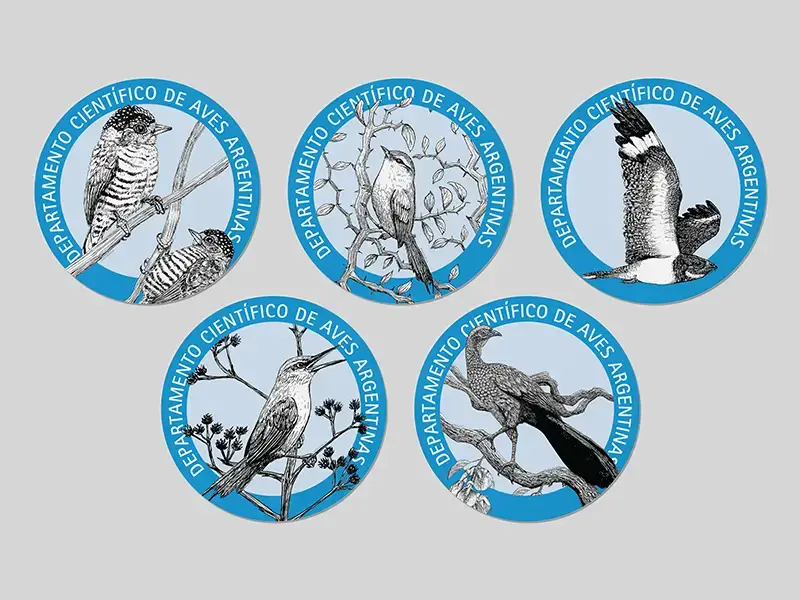 Decorative for the article "Nueva etapa del Departamento Científico de Aves Argentinas"
