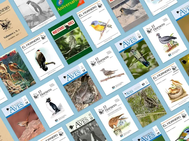 Decorative feature Image for the article "Biblioteca digital de Aves Argentinas"