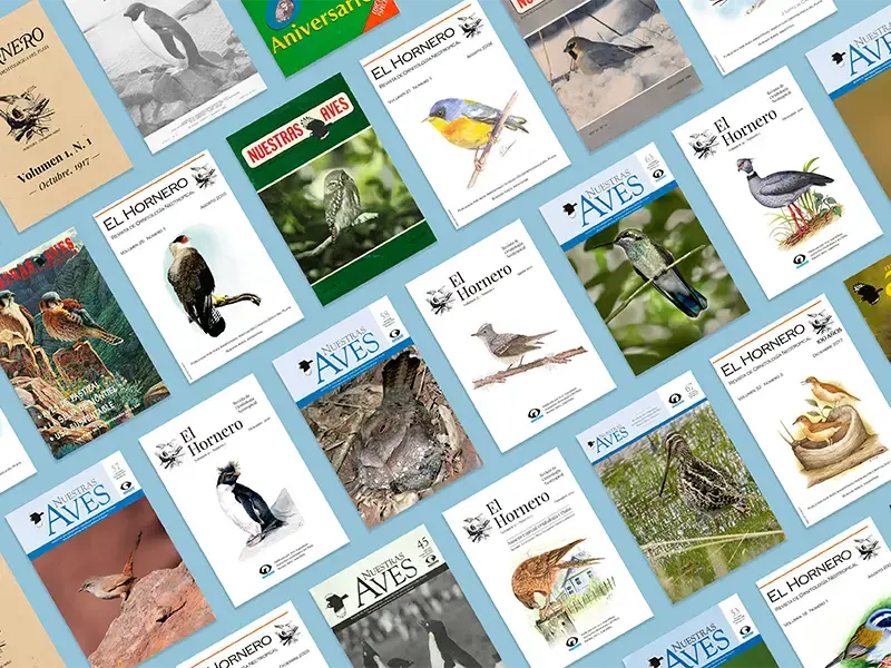 Decorative for the article "Biblioteca digital de Aves Argentinas"