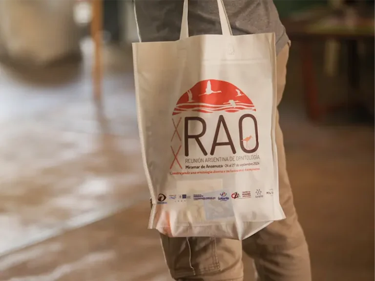 Decorative feature Image for the article "Libro de resúmenes XX RAO"