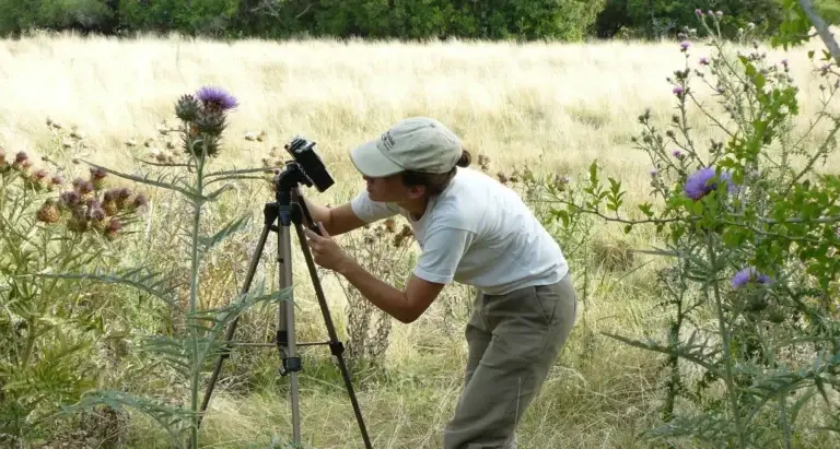 Cynthia Ursino setting up a tripod camera to film the behavior of the birds she is studying